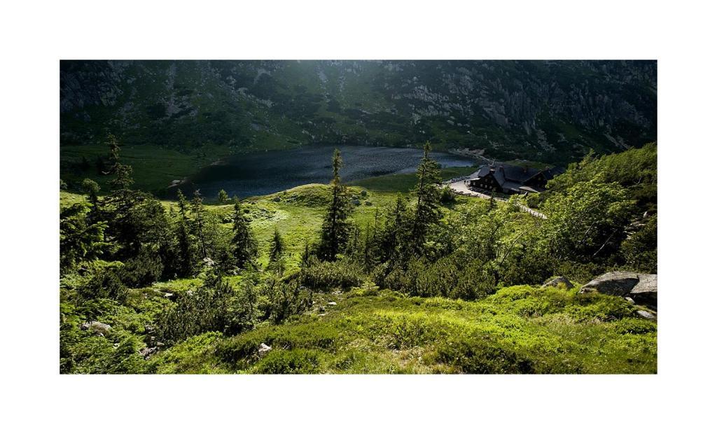 Хостел Schronisko Pttk Samotnia Карпач Екстер'єр фото